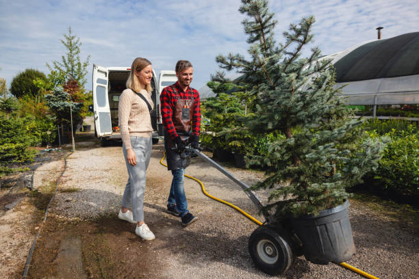How Our Tree Care Process Works  in  Flagtown, NJ